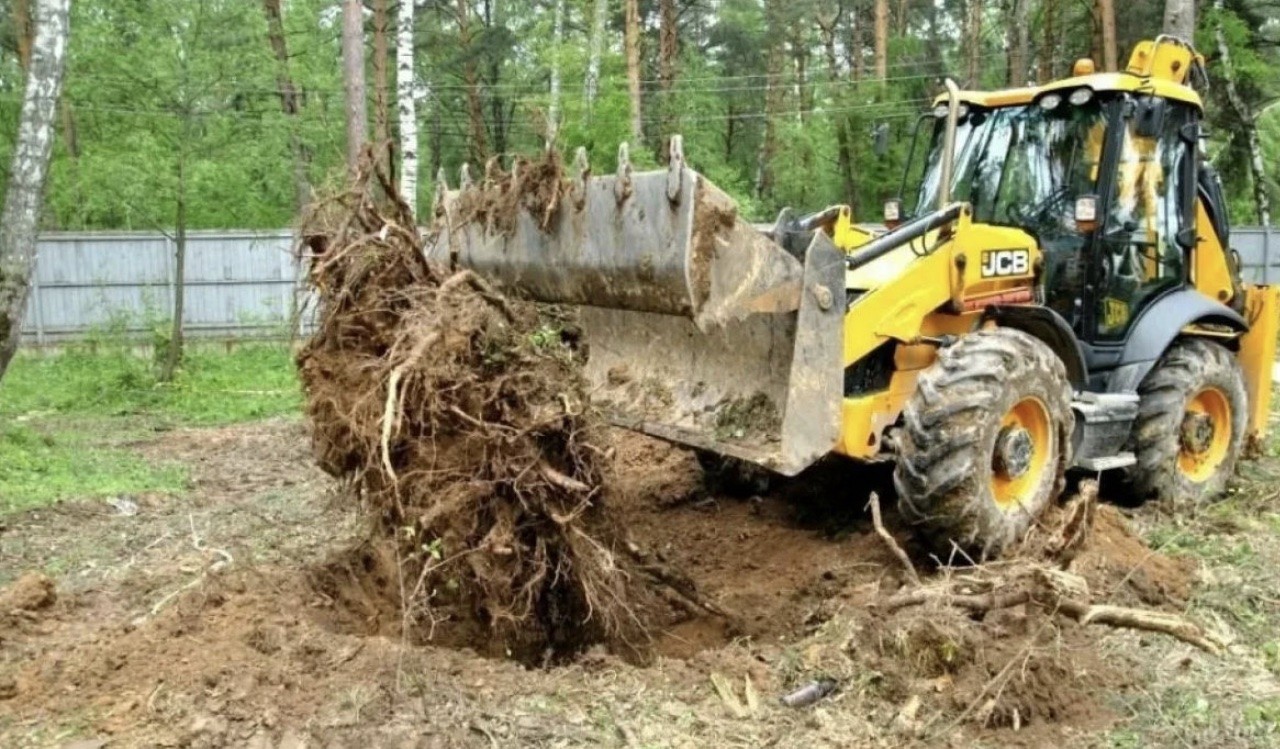 Корчевание и удаление пня в Воронеже